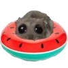 Hamster Sad 2 💖C☆ 8