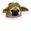 sad_pug_leonid 6