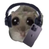 Hamster Sad 1 💖C☆ 11