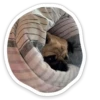 sad_pug_leonid 9