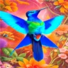 COLIBRI Y MAS 11