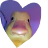 valentinki 17