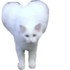 valentinki 18