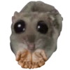 Hamster Sad 2 💖C☆ 11
