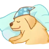 Perritos bonitos💞6🇵🇪Clásica 14