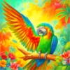 COLIBRI Y MAS 12