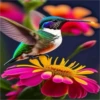 COLIBRI Y MAS 14