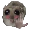 Hamster Sad 2 💖C☆ 15