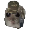 Hamster Sad 1 💖C☆ 15