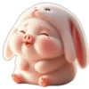 Piggy Rabbit so Cute 1 9