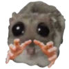 Hamster Sad 2 💖C☆ 18