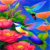 COLIBRI Y MAS 17