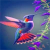 COLIBRI Y MAS 18