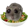 Hamster Sad 1 💖C☆ 16