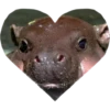 valentinki 21