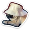 sad_pug_leonid 16
