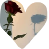 valentinki 22