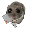 Hamster Sad 2 💖C☆ 19