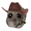 Hamster Sad 2 💖C☆ 20