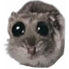Hamster Sad 1 💖C☆ 17