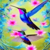 COLIBRI Y MAS 19