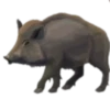 Animales del bosque💞1🇵🇪Clásica 21