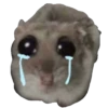 Hamster Sad 1 💖C☆ 18