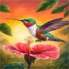 COLIBRI Y MAS 20