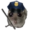 Hamster Sad 2 💖C☆ 21