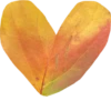 valentinki 24