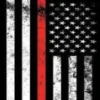 United States flag 11
