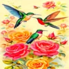 COLIBRI Y MAS 21