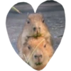 valentinki 25