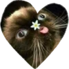 valentinki 26