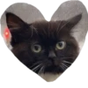 valentinki 27