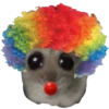 Hamster Sad 1 💖C☆ 20