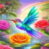 COLIBRI Y MAS 23