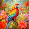 COLIBRI Y MAS 24