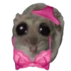 Hamster Sad 2 💖C☆ 23