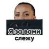 инра 083 [слежу