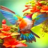 COLIBRI Y MAS 25