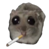 Hamster Sad 2 💖C☆ 24