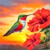 COLIBRI Y MAS 26