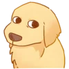 Perritos bonitos💞6🇵🇪Clásica 24