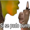 Si se pudo burro
@whatts591
