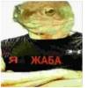 Сборник memes by @Dmitriy_DF 25