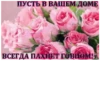 Сборник memes by @Dmitriy_DF 26