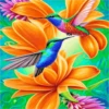 COLIBRI Y MAS 29