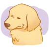 Perritos bonitos💞6🇵🇪Clásica 25