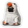 sad_pug_leonid 28